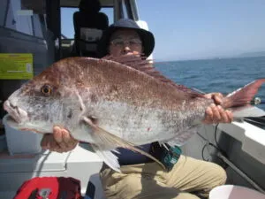 絢美丸の2023年4月23日(日)1枚目の写真