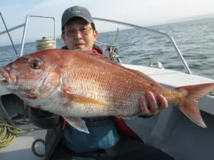 絢美丸の2023年4月23日(日)3枚目の写真