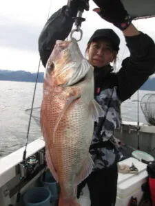 絢美丸の2023年4月26日(水)1枚目の写真