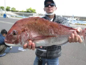 絢美丸の2023年4月26日(水)4枚目の写真