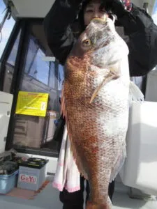 絢美丸の2023年4月26日(水)5枚目の写真