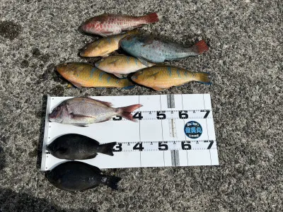 川端渡船の2023年4月28日(金)1枚目の写真