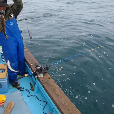 第十八大成丸の2023年4月29日(土)1枚目の写真
