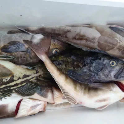 第十八大成丸の2023年4月29日(土)2枚目の写真