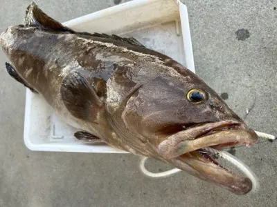 乙島丸の2023年4月28日(金)2枚目の写真