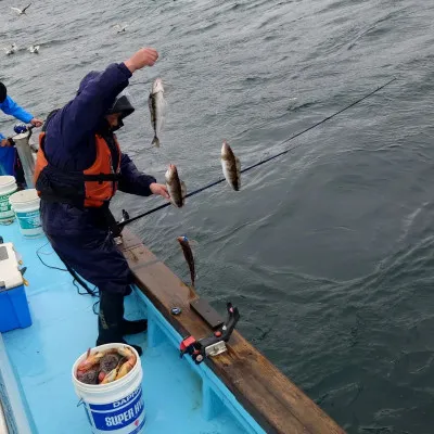 第十八大成丸の2023年4月30日(日)1枚目の写真