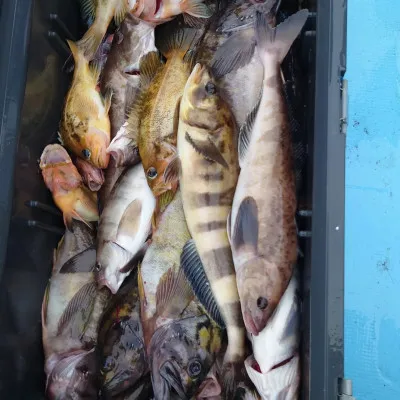 第十八大成丸の2023年4月30日(日)3枚目の写真