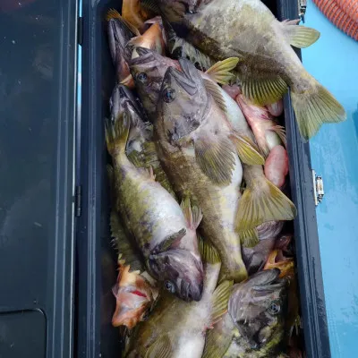 第十八大成丸の2023年4月30日(日)4枚目の写真