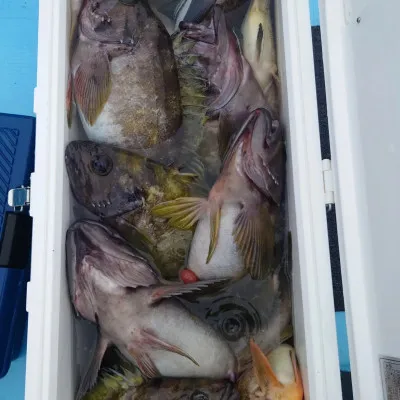 第十八大成丸の2023年4月30日(日)5枚目の写真