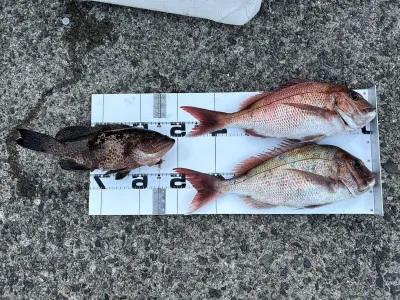 川端渡船の2023年5月1日(月)4枚目の写真