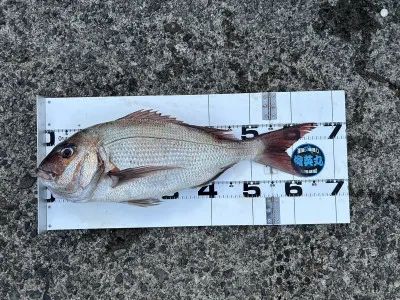 川端渡船の2023年5月1日(月)5枚目の写真