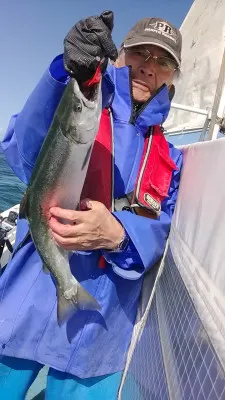 釣りキチ丸の2023年5月2日(火)4枚目の写真