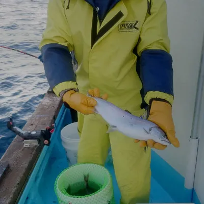第十八大成丸の2023年5月3日(水)2枚目の写真