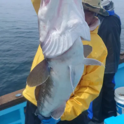 第十八大成丸の2023年5月3日(水)3枚目の写真