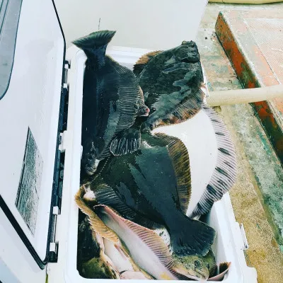 釣船オホーツク 光海丸 慶福丸の2023年5月3日(水)2枚目の写真