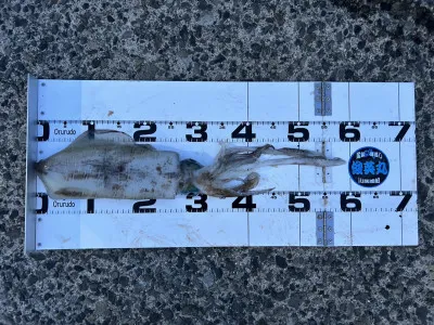 川端渡船の2023年5月3日(水)1枚目の写真