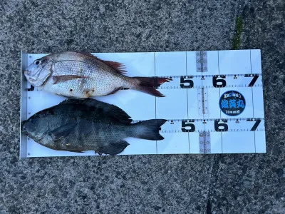 川端渡船の2023年5月3日(水)4枚目の写真