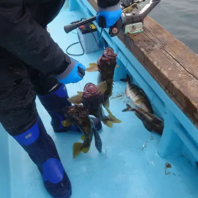 第十八大成丸の2023年5月4日(木)3枚目の写真