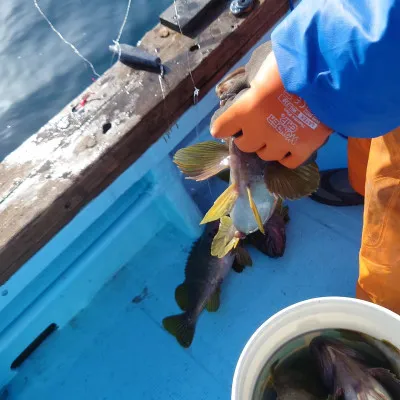 第十八大成丸の2023年5月7日(日)1枚目の写真