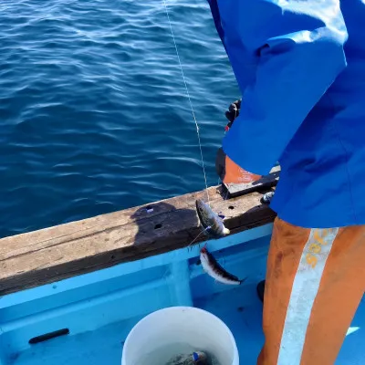 第十八大成丸の2023年5月7日(日)2枚目の写真