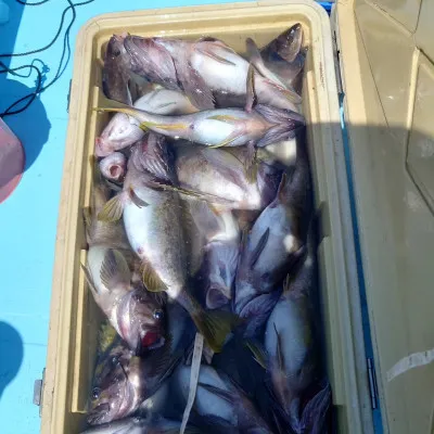 第十八大成丸の2023年5月7日(日)3枚目の写真