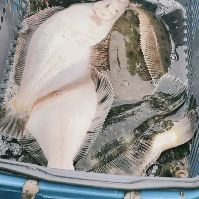 釣船オホーツク　光海丸　慶福丸の2023年5月6日(土)2枚目の写真