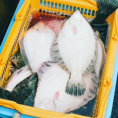 釣船オホーツク 光海丸 慶福丸の2023年5月6日(土)3枚目の写真