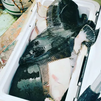 釣船オホーツク 光海丸 慶福丸の2023年5月6日(土)4枚目の写真