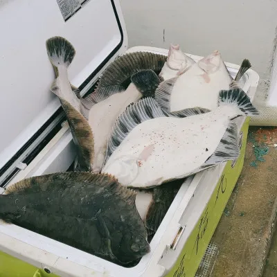 釣船オホーツク　光海丸　慶福丸の2023年5月6日(土)5枚目の写真