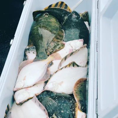 釣船オホーツク 光海丸 慶福丸の2023年5月8日(月)1枚目の写真