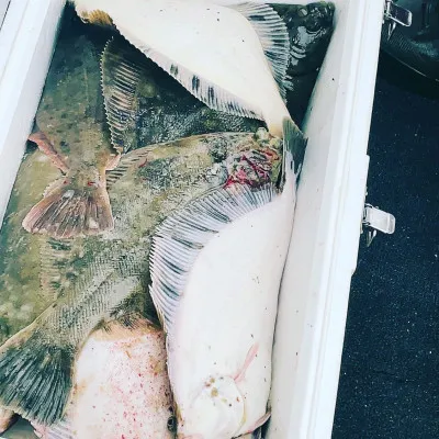 釣船オホーツク 光海丸 慶福丸の2023年5月8日(月)2枚目の写真
