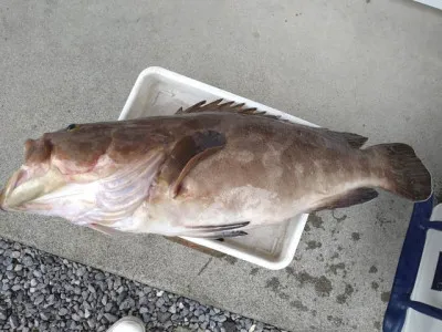 乙島丸の2023年5月4日(木)5枚目の写真