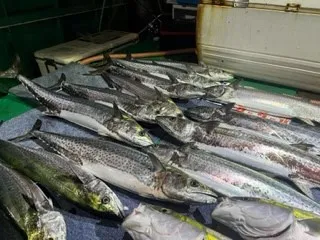 釣り船 大翔丸の2023年5月10日(水)5枚目の写真