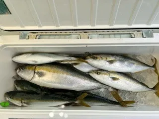 東田丸の2023年5月12日(金)1枚目の写真