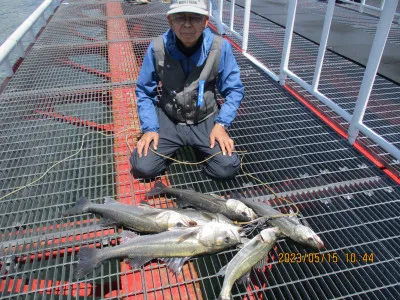 尼崎市立魚つり公園の2023年5月15日(月)2枚目の写真