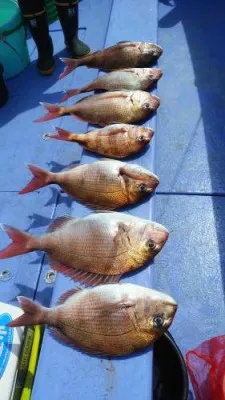 美喜丸の2023年4月21日(金)2枚目の写真