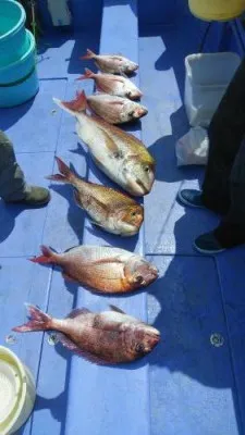 美喜丸の2023年5月1日(月)1枚目の写真