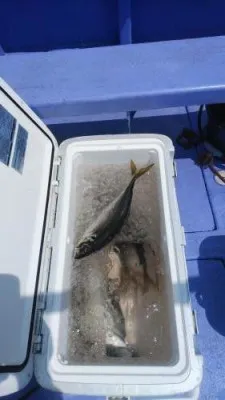 美喜丸の2023年5月1日(月)2枚目の写真