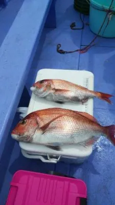 美喜丸の2023年5月14日(日)1枚目の写真