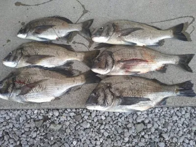 乙島丸の2023年5月18日(木)1枚目の写真