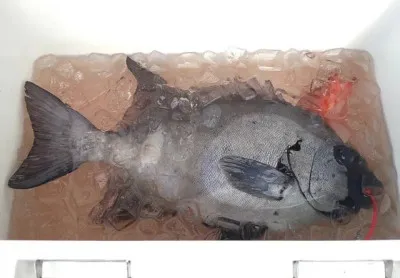 乙島丸の2023年5月18日(木)3枚目の写真