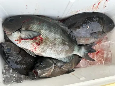 乙島丸の2023年5月18日(木)5枚目の写真