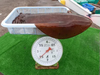 釣り船 久勝丸の2023年5月13日(土)5枚目の写真