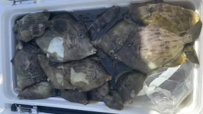 まこと遊漁の2023年5月23日(火)3枚目の写真