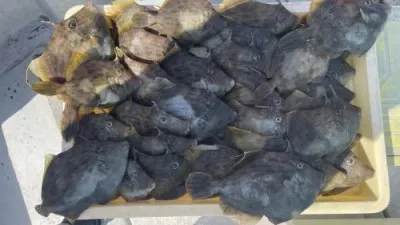 まこと遊漁の2023年5月23日(火)4枚目の写真