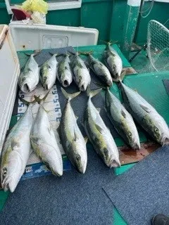 釣り船 大翔丸の2023年5月25日(木)4枚目の写真