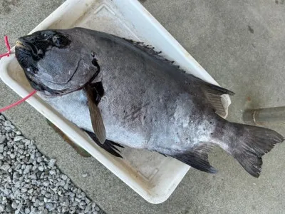 乙島丸の2023年5月23日(火)2枚目の写真