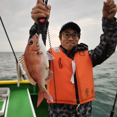 豊丸の2023年5月28日(日)3枚目の写真