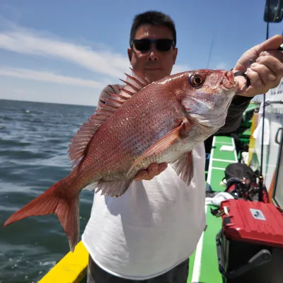 豊丸の2023年6月4日(日)2枚目の写真