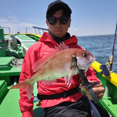 豊丸の2023年6月4日(日)3枚目の写真